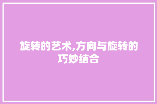 旋转的艺术,方向与旋转的巧妙结合