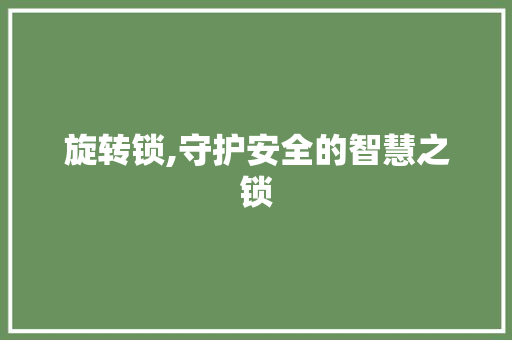 旋转锁,守护安全的智慧之锁 旋转锁,守护安全的智慧之锁