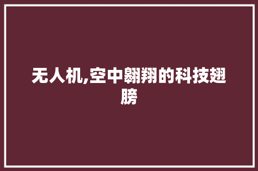 无人机,空中翱翔的科技翅膀