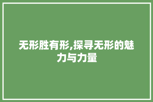 无形胜有形,探寻无形的魅力与力量
