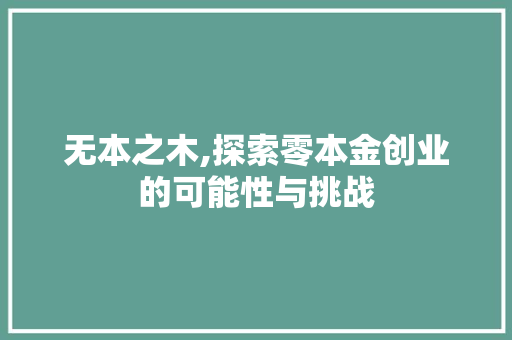 无本之木,探索零本金创业的可能性与挑战