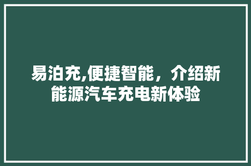 易泊充,便捷智能，介绍新能源汽车充电新体验