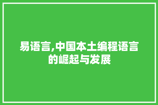 易语言,中国本土编程语言的崛起与发展