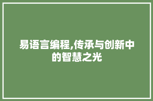 易语言编程,传承与创新中的智慧之光