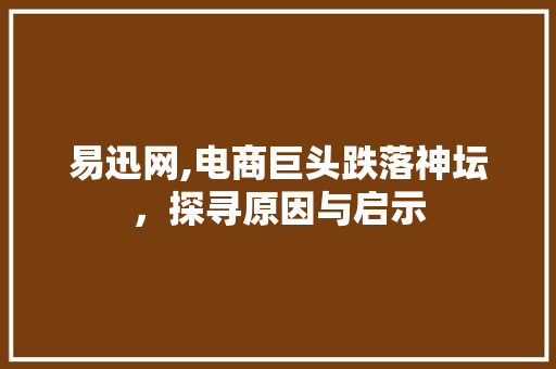 易迅网,电商巨头跌落神坛，探寻原因与启示