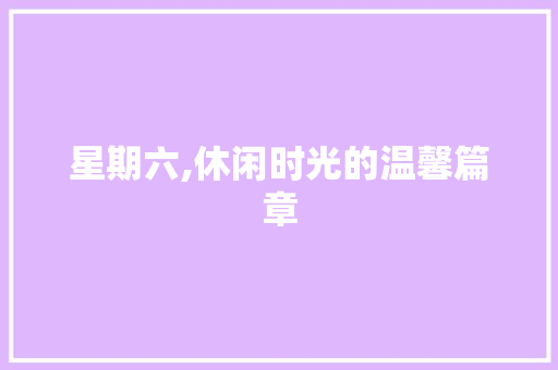 星期六,休闲时光的温馨篇章 电脑故障维修