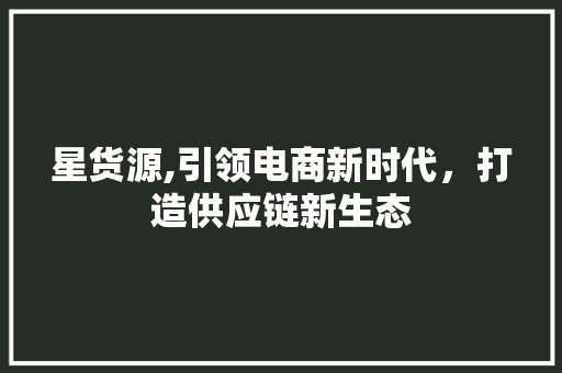 星货源,引领电商新时代，打造供应链新生态