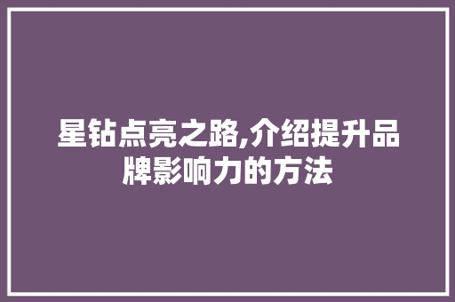 星钻点亮之路,介绍提升品牌影响力的方法 电脑故障维修