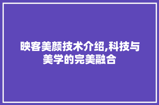 映客美颜技术介绍,科技与美学的完美融合