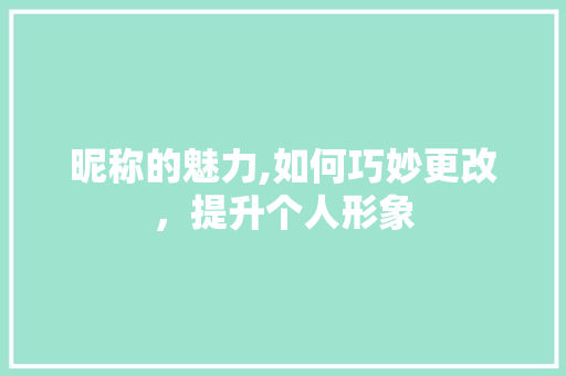 昵称的魅力,如何巧妙更改，提升个人形象