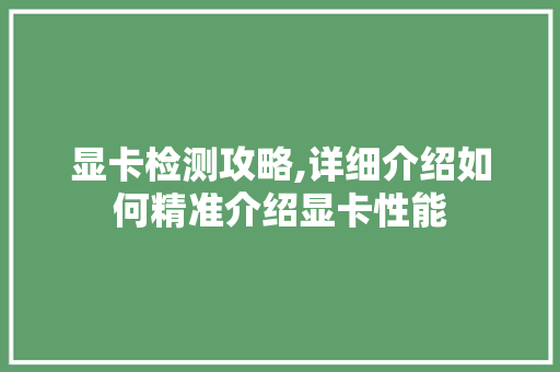显卡检测攻略,详细介绍如何精准介绍显卡性能