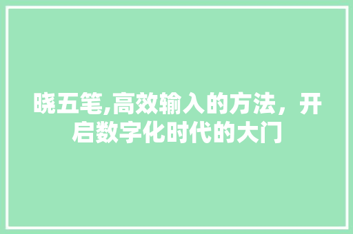 晓五笔,高效输入的方法，开启数字化时代的大门