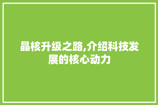 晶核升级之路,介绍科技发展的核心动力