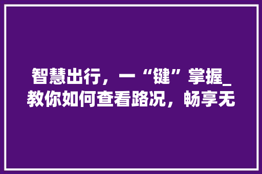 智慧出行，一“键”掌握_教你如何查看路况，畅享无忧旅程