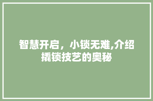 智慧开启，小锁无难,介绍撬锁技艺的奥秘