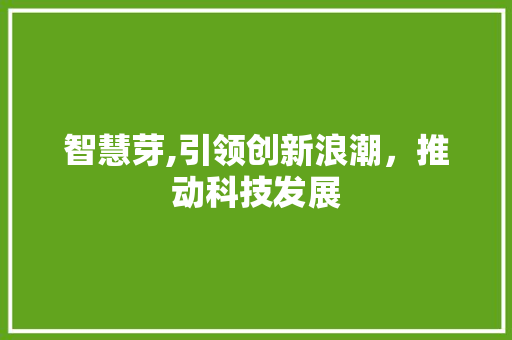 智慧芽,引领创新浪潮，推动科技发展