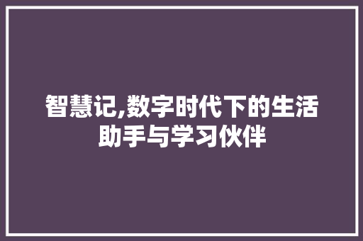 智慧记,数字时代下的生活助手与学习伙伴