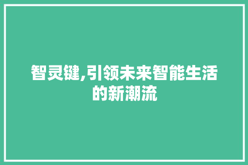 智灵键,引领未来智能生活的新潮流