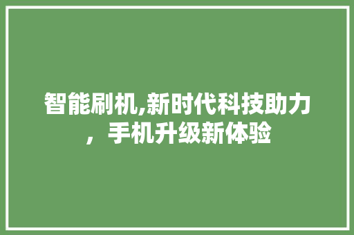 智能刷机,新时代科技助力，手机升级新体验