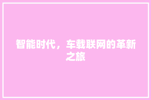 智能时代，车载联网的革新之旅