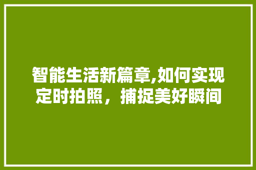 智能生活新篇章,如何实现定时拍照，捕捉美好瞬间