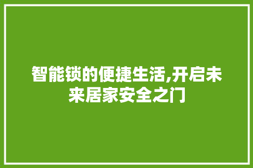 智能锁的便捷生活,开启未来居家安全之门 智能锁的便捷生活,开启未来居家安全之门