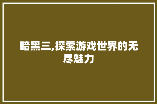 暗黑三,探索游戏世界的无尽魅力 暗黑三,探索游戏世界的无尽魅力
