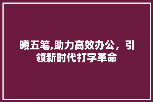曦五笔,助力高效办公，引领新时代打字革命