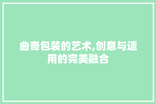 曲奇包装的艺术,创意与适用的完美融合