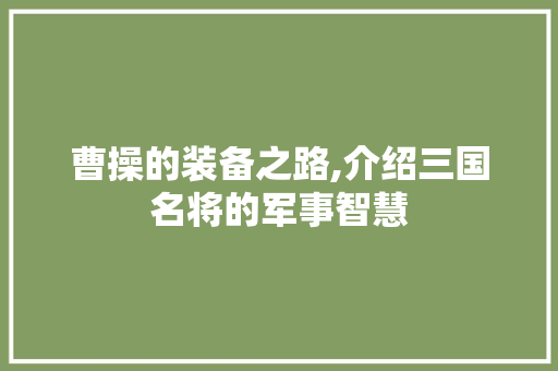 曹操的装备之路,介绍三国名将的军事智慧