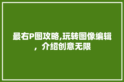 最右P图攻略,玩转图像编辑，介绍创意无限
