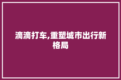 滴滴打车,重塑城市出行新格局 电脑配置