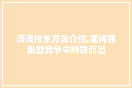 滴滴抢单方法介绍,如何在激烈竞争中脱颖而出 编程语言