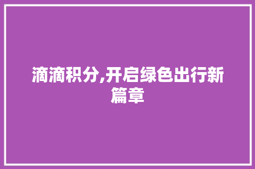 滴滴积分,开启绿色出行新篇章 电脑配置