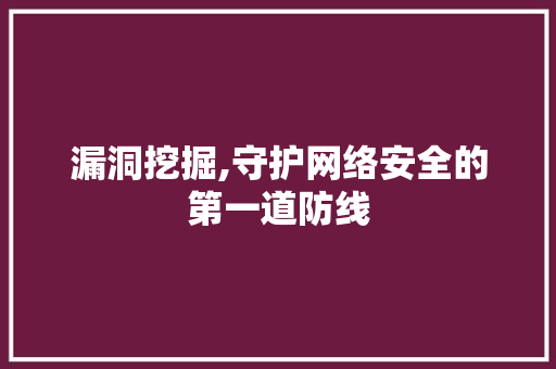 漏洞挖掘,守护网络安全的第一道防线 电脑配置