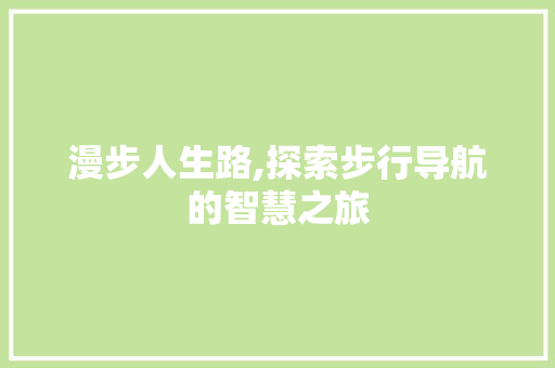 漫步人生路,探索步行导航的智慧之旅 电脑配置