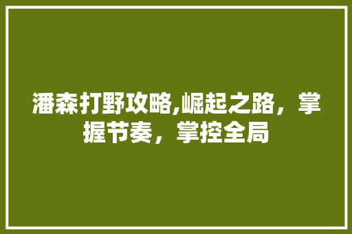 潘森打野攻略,崛起之路,掌握节奏,掌控全局 编程语言 潘森打野攻略,崛起之路,掌握节奏,掌控全局 编程语言