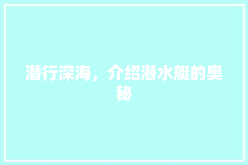 潜行深海，介绍潜水艇的奥秘 电脑配置