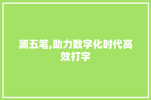 澜五笔,助力数字化时代高效打字