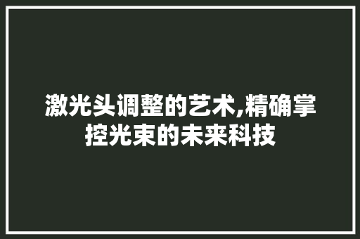 激光头调整的艺术,精确掌控光束的未来科技