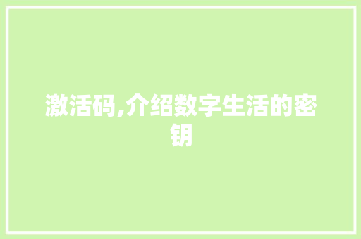 激活码,介绍数字生活的密钥