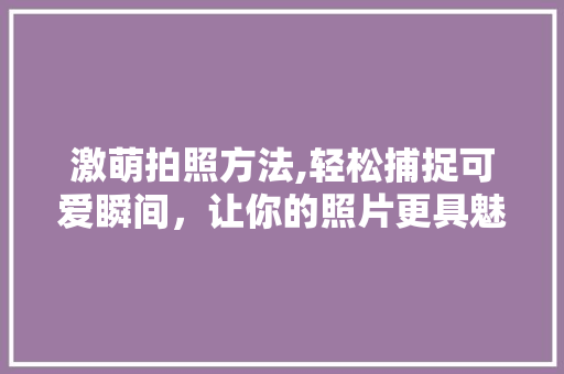 激萌拍照方法,轻松捕捉可爱瞬间,让你的照片更具魅力 激萌拍照方法,轻松捕捉可爱瞬间,让你的照片更具魅力