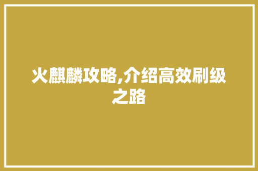 火麒麟攻略,介绍高效刷级之路 电脑配置