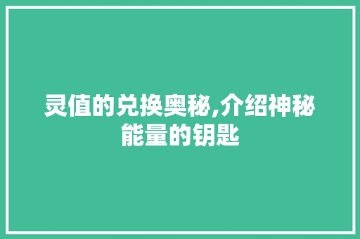 灵值的兑换奥秘,介绍神秘能量的钥匙 电脑配置