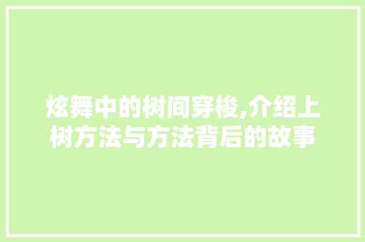 炫舞中的树间穿梭,介绍上树方法与方法背后的故事 电脑配置