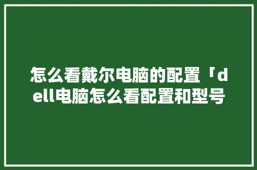 怎么看戴尔电脑的配置「dell电脑怎么看配置和型号」 怎么看戴尔电脑的配置「dell电脑怎么看配置和型号」 电脑配置