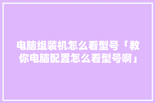 电脑组装机怎么看型号「教你电脑配置怎么看型号啊」 编程语言 电脑组装机怎么看型号「教你电脑配置怎么看型号啊」 电脑组装机怎么看型号「教你电脑配置怎么看型号啊」 编程语言