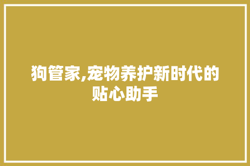 狗管家,宠物养护新时代的贴心助手