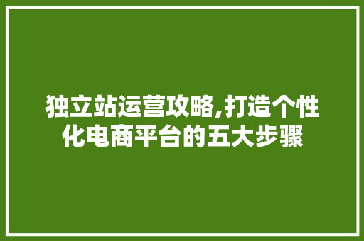 独立站运营攻略,打造个性化电商平台的五大步骤