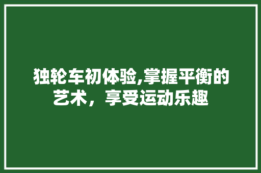 独轮车初体验,掌握平衡的艺术，享受运动乐趣